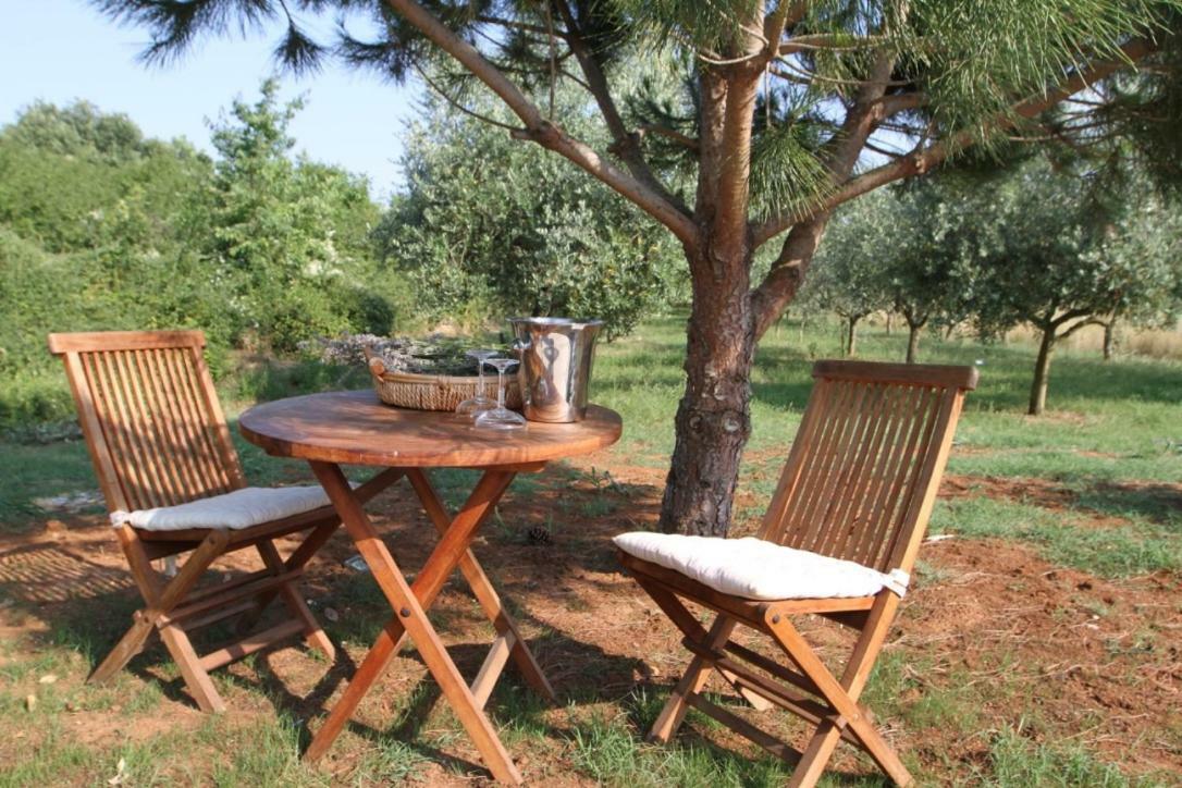Premantura Olive Garden Villa Eksteriør bilde